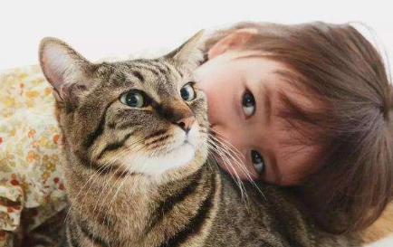 养猫家庭如何驱蚊
