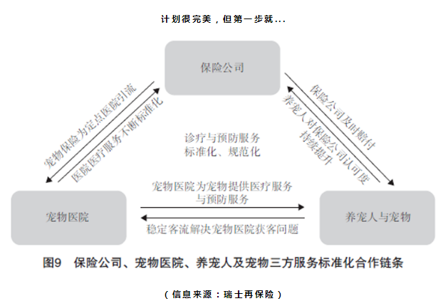 宠物险理赔流程,宠物险哪个好,宠物保险产品介绍
