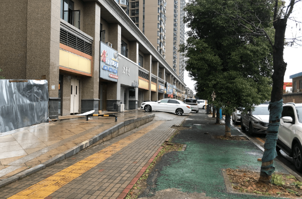 湘潭德牧伤人调查：狗主人支付万元医药费，涉事犬只曾咬伤泰迪柯基 