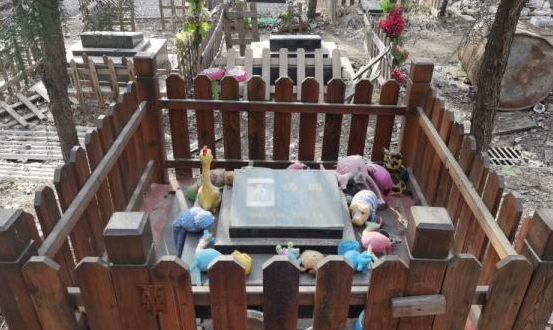 探访宠物墓地:三年前“人气”墓园今已“荒废”,宠物“后事”谁来规范管理? 探访宠物墓地:三年前“人气”墓园今已“荒废”,宠物“后事”谁来规范管理?