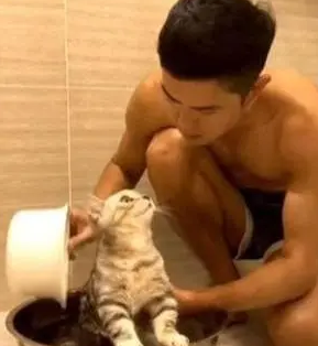 小鲜肉主人给猫洗澡,猫咪一脸“花痴”地看主人,网友:猫是颜控 小鲜肉主人给猫洗澡,猫咪一脸“花痴”地看主人,网友:猫是颜控