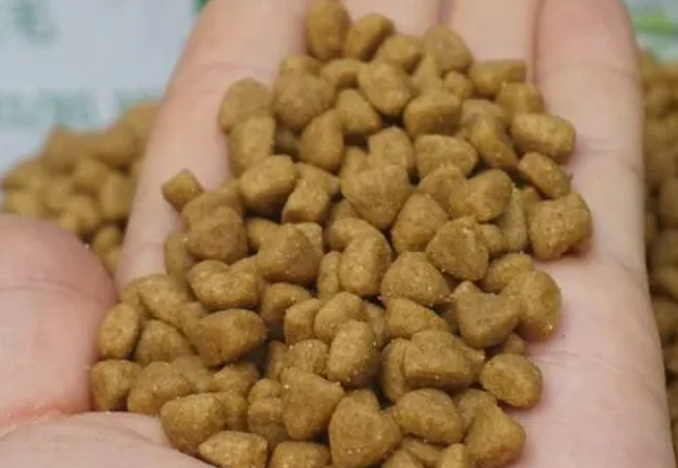 金贝乐狗粮好吃吗?适合哪些狗狗 金贝乐狗粮好吃吗?适合哪些狗狗