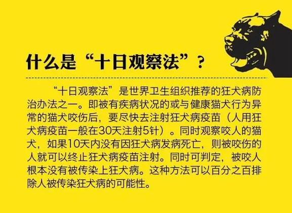 央视狂犬病十日观察法