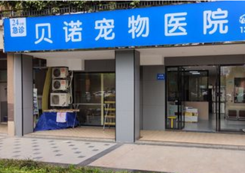 贝诺宠物医院南湾分院好吗