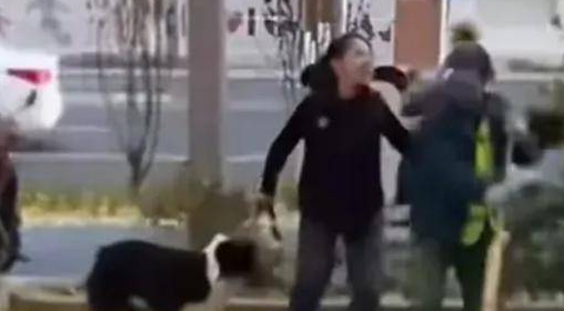 牵着狗绳的狗咬到人怎么办,女孩牵狗绊倒老人最终处理,牵着狗的人会怎么样呢 牵着狗绳的狗咬到人怎么办,女孩牵狗绊倒老人最终处理,牵着狗的人会怎么样呢