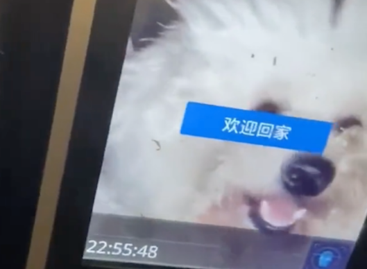 女孩刷脸打不开小区门禁,抱着狗狗时它竟扫开了,它才是业主啊 女孩刷脸打不开小区门禁,抱着狗狗时它竟扫开了,它才是业主啊