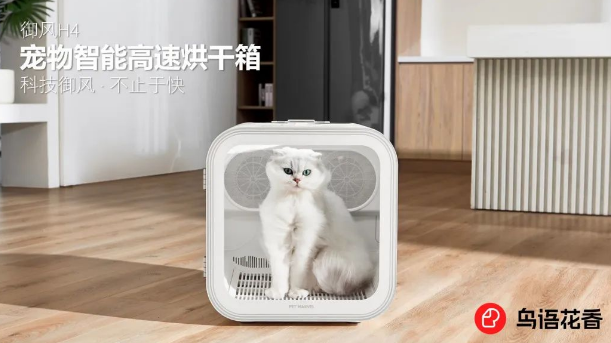宠物智能用品品牌「鸟语花香」获近亿元A+轮融资,老股东继续追投| 宠物智能用品品牌「鸟语花香」获近亿元A+轮融资,老股东继续追投|