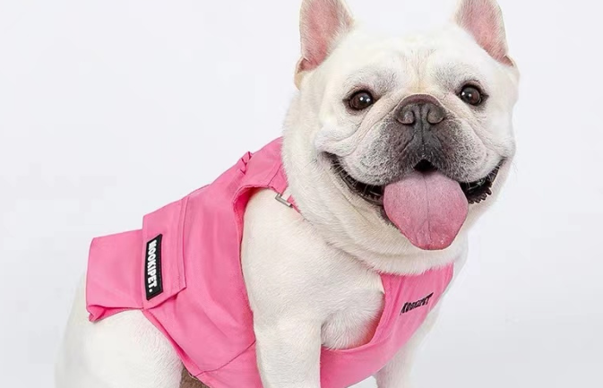 mookipet宠物衣服价格