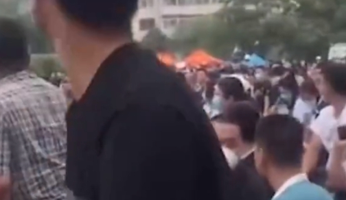 辽宁沈阳:男子带10万竞拍警犬,一对比才发现草率了:拍了个热闹 辽宁沈阳:男子带10万竞拍警犬,一对比才发现草率了:拍了个热闹