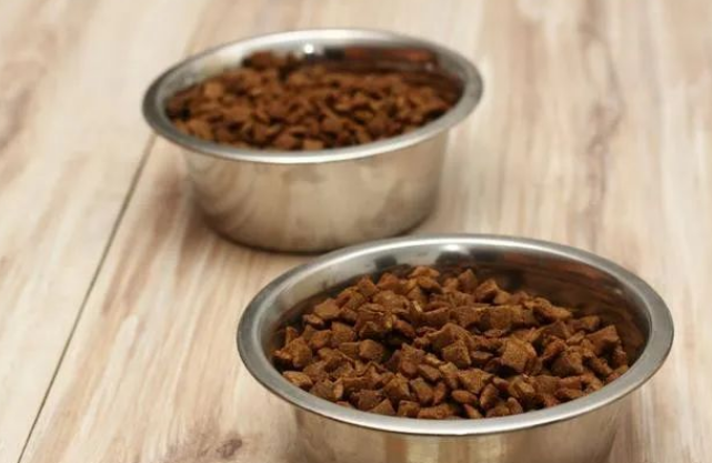 30克猫粮，你可知是多少？——打开猫咪的饮食之谜
