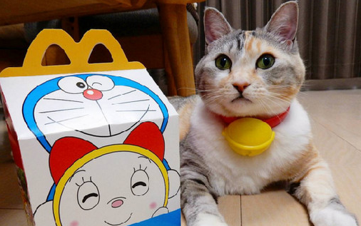 一只哆啦a梦是猫吗 一只哆啦a梦是猫吗