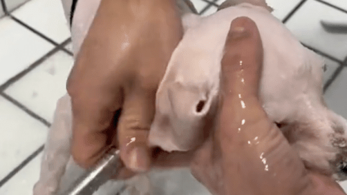流浪狗掉进冰冷河里大声惨叫,女生及时赶到捞上来,瞬间安静下来 流浪狗掉进冰冷河里大声惨叫,女生及时赶到捞上来,瞬间安静下来