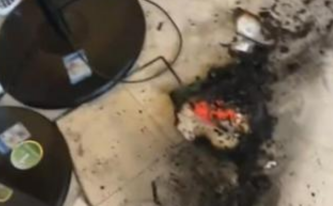 出门忘关小太阳:猫咪死亡,损失7万多 出门忘关小太阳:猫咪死亡,损失7万多