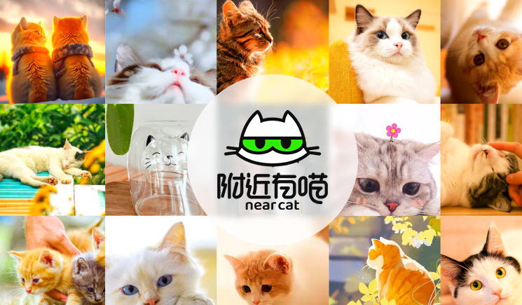 寻它科技有哪些产品 寻它科技有哪些产品