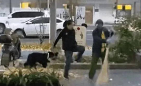 牵着狗绳的狗咬到人怎么办,女孩牵狗绊倒老人最终处理,牵着狗的人会怎么样呢 牵着狗绳的狗咬到人怎么办,女孩牵狗绊倒老人最终处理,牵着狗的人会怎么样呢