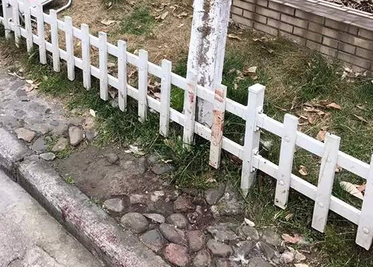 杭州一阿拉斯加犬被当街剥皮,咬伤主人女儿被活活打死 杭州一阿拉斯加犬被当街剥皮,咬伤主人女儿被活活打死