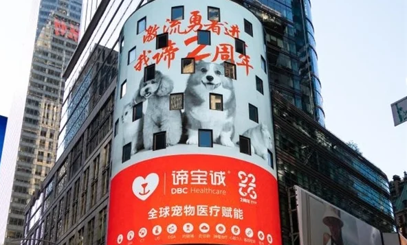谛宝诚是做什么的 谛宝诚是做什么的