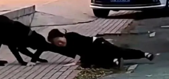 咬死老人的狗 咬死老人的狗