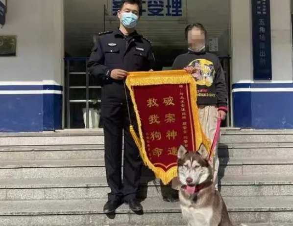 哈士奇自行解开绳锁“离家出走”还上了陌生男子的车,急坏主人 哈士奇自行解开绳锁“离家出走”还上了陌生男子的车,急坏主人