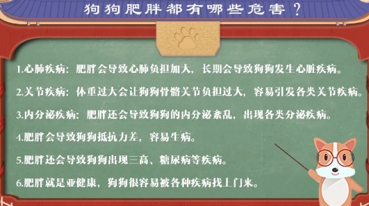 尾巴先生拍了拍你空空的钱包说：这单我请！