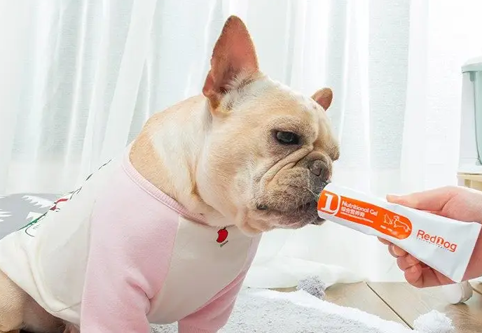 幼犬不建议吃营养膏