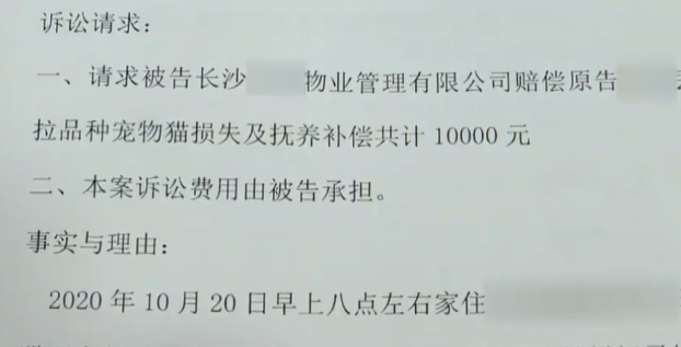 湖南:宠物猫跑出自家里,物业当成流浪猫赶走,业主提出1万赔偿 湖南:宠物猫跑出自家里,物业当成流浪猫赶走,业主提出1万赔偿