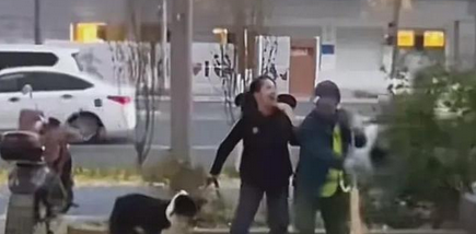 好嚣张!四川成都街头牵狗女子太过分,推搡辱骂环卫女工惹众怒! 好嚣张!四川成都街头牵狗女子太过分,推搡辱骂环卫女工惹众怒!