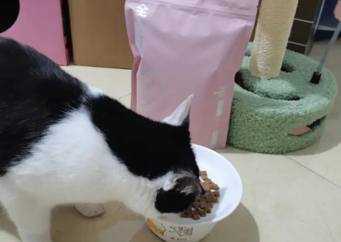 深扒黑鼻头猫粮,真软便克星还是假噱头 深扒黑鼻头猫粮,真软便克星还是假噱头