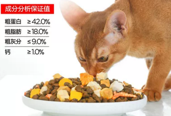 喵小岛猫粮:为猫咪提供全面的营养 喵小岛猫粮:为猫咪提供全面的营养