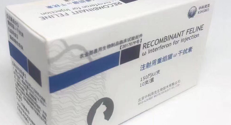 中科拜克犬干扰素好吗 中科拜克犬干扰素好吗