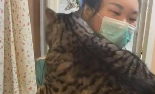 带猫咪洗澡,老板要加钱,主人不肯,等猫洗完后他愣住了 带猫咪洗澡,老板要加钱,主人不肯,等猫洗完后他愣住了