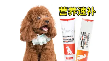 泰迪营养膏什么牌子好
