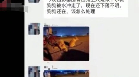 男子河堤边遛狗被拖入水后,下落不明,养狗伙伴注意了 男子河堤边遛狗被拖入水后,下落不明,养狗伙伴注意了