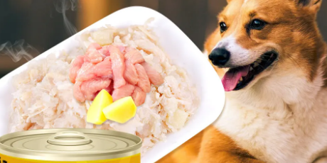 保尔泡泡狗罐头猫咪可以吃吗 保尔泡泡狗罐头猫咪可以吃吗