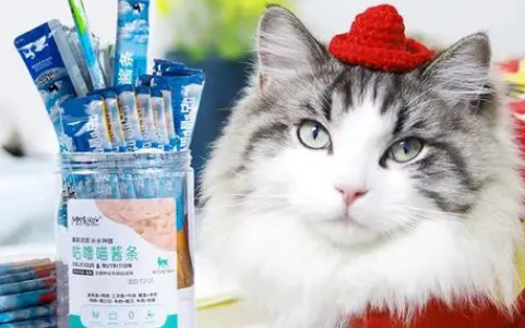 猫伢狗伢喵酱条怎么样