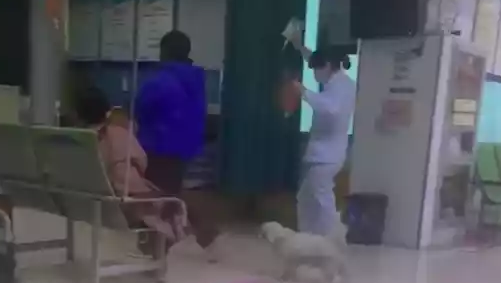 主人半夜来医院打点滴,狗狗寸步不离跟着她,被赶走又跑回来 主人半夜来医院打点滴,狗狗寸步不离跟着她,被赶走又跑回来