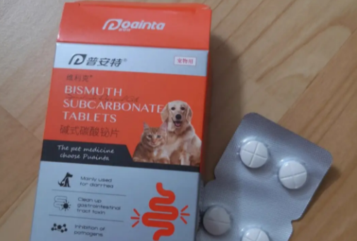 普安特的2023 Pet Run北京站:全产品矩阵如何守护宠物健康? 普安特的2023 Pet Run北京站:全产品矩阵如何守护宠物健康?