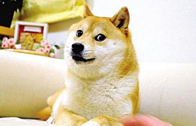 神烦狗还活着吗 神烦狗还活着吗