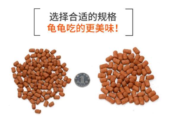 发色龟粮是什么原理 发色龟粮是什么原理