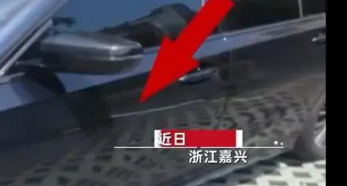 揪心!浙江男子不小心撞到小狗,狗主人悲愤蓄意对车下手 揪心!浙江男子不小心撞到小狗,狗主人悲愤蓄意对车下手
