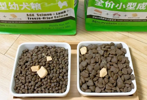 本秋狗粮:品质与味蕾的完美结合 本秋狗粮:品质与味蕾的完美结合