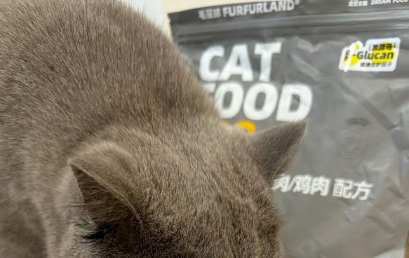 种草or避雷？毛星球大鹅猫粮实测分享