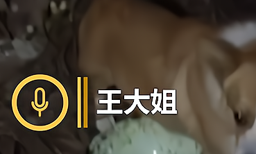 福建51岁大姐,从事流浪狗救助活动13年,为筹措救助资金卖掉房子 福建51岁大姐,从事流浪狗救助活动13年,为筹措救助资金卖掉房子