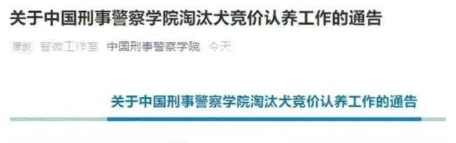 准警犬考编失败，原因竟然是毛长萌人、头大被卡、开小差爱吃瓜