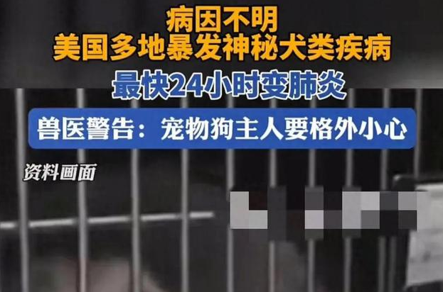新的可怕的病毒又来了 新的可怕的病毒又来了