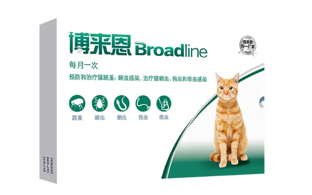 博来恩荣获2021年度“用户喜爱的品牌”:对话Z世代,社交种草助推品牌出圈 博来恩荣获2021年度“用户喜爱的品牌”:对话Z世代,社交种草助推品牌出圈
