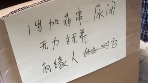 加菲猫被遗弃雨中,但看到主人留下的字条后,我释然了! 加菲猫被遗弃雨中,但看到主人留下的字条后,我释然了!