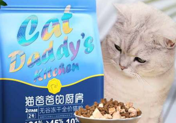 猫爸爸的厨房步履不停,领先世界是什么感觉? 猫爸爸的厨房步履不停,领先世界是什么感觉?