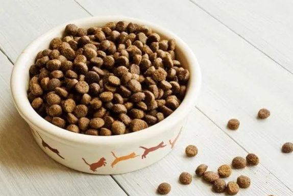 那些口碑较好的猫粮:营养与美味的秘密花园 那些口碑较好的猫粮:营养与美味的秘密花园