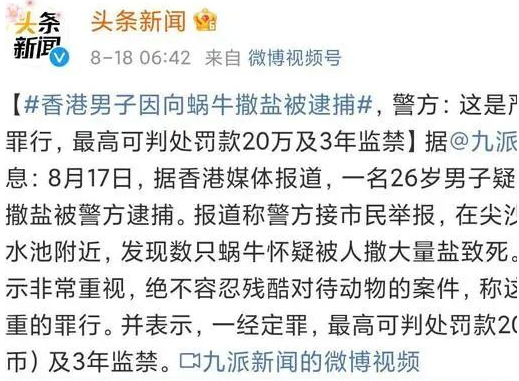 洗衣机小柯基找到了!但处理结果…… 洗衣机小柯基找到了!但处理结果……